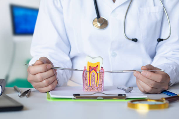 Best Emergency Treatment for Toothache in Mentor, OH